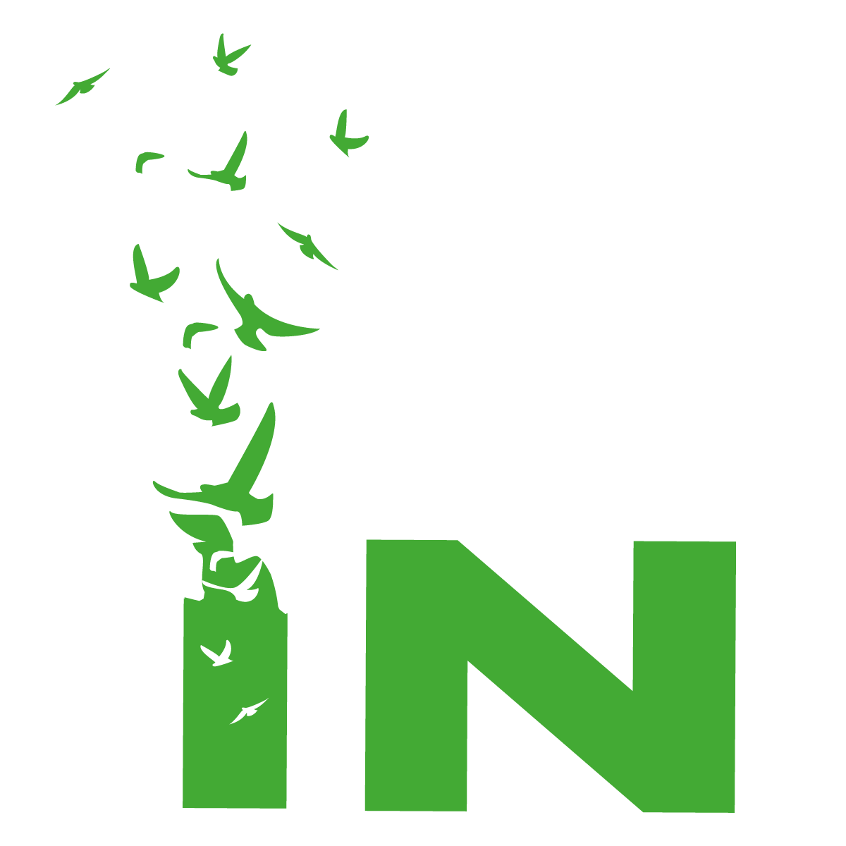 Logo Diego Mercado Blanco
